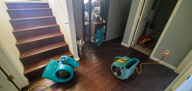 Best Sewage cleanup and water damage restoration  in Como, WI
