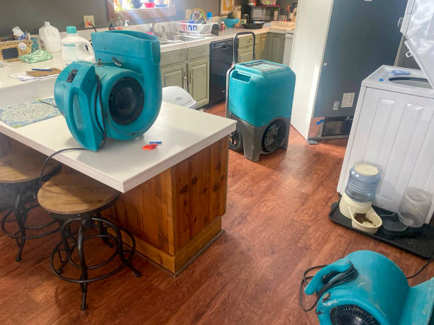 Best Mold removal after water damage  in Como, WI