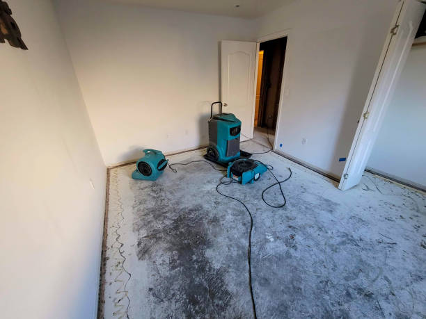 Best Water damage restoration cost  in Como, WI