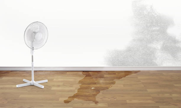  Como, WI Water damage restoration Pros
