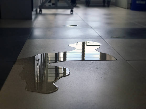 Best Carpet water damage restoration  in Como, WI