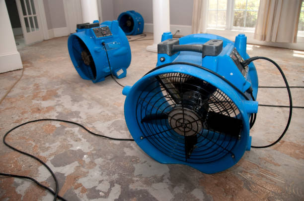 Best Residential water damage restoration  in Como, WI