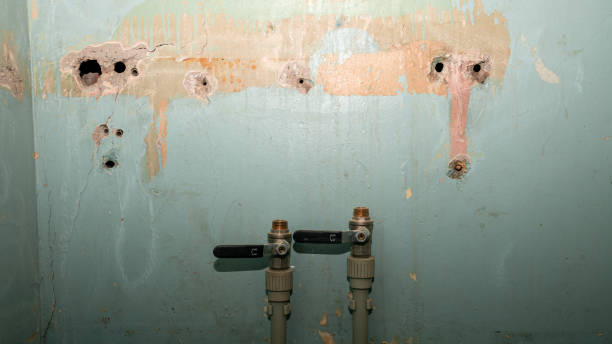 Best Water damage restoration near me  in Como, WI