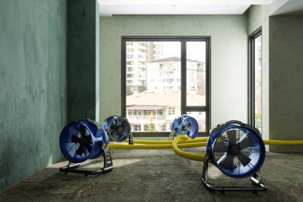 Professional Water damage restoration in WI